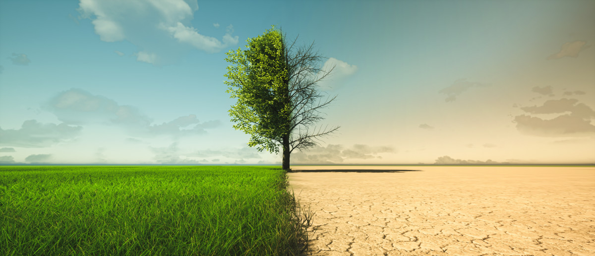 Les entreprises en première ligne dans la lutte contre le changement climatique