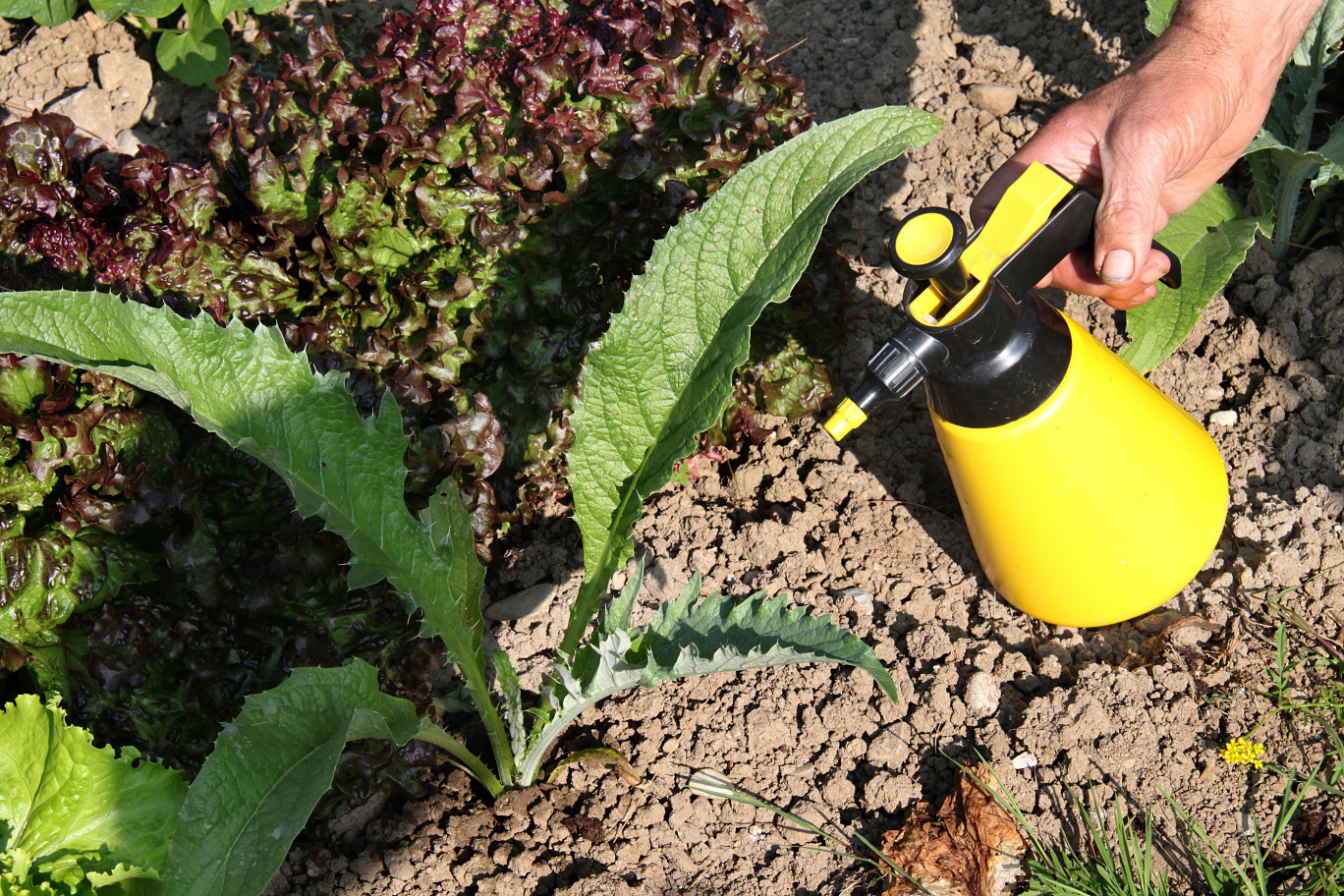 Réglementation ministérielle totale des pesticides