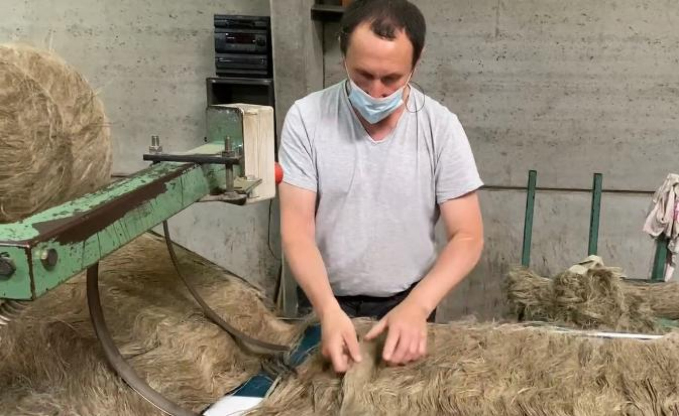 Le peignage des fibres longues de lin est réalisée au sein de la coopérative Terre de lin. (Photo Gazette Normandie)