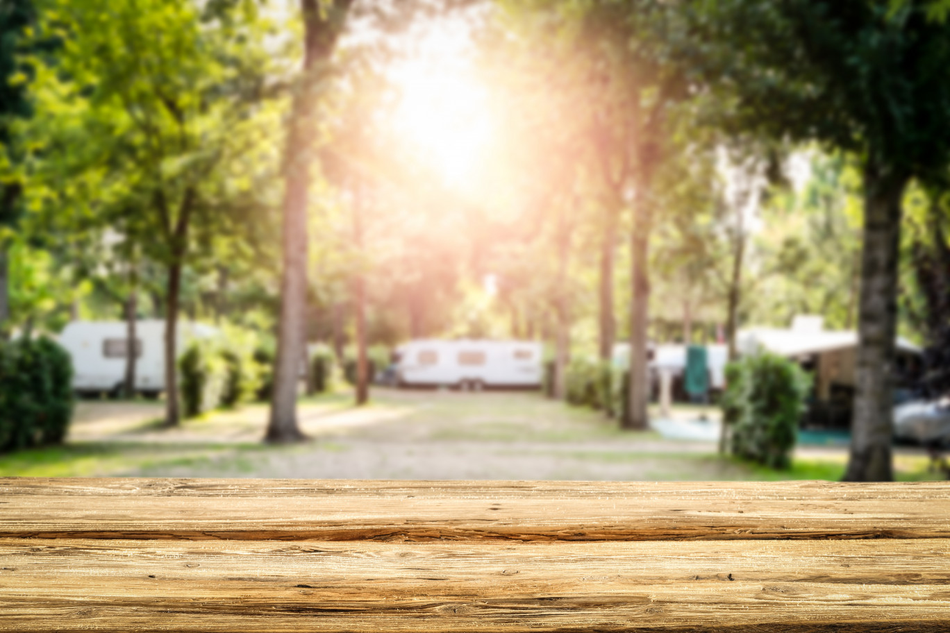 Les campings ont bénéficié de la hausse de la fréquentation des résidents. (Photo d'illustration Adobe Stock)