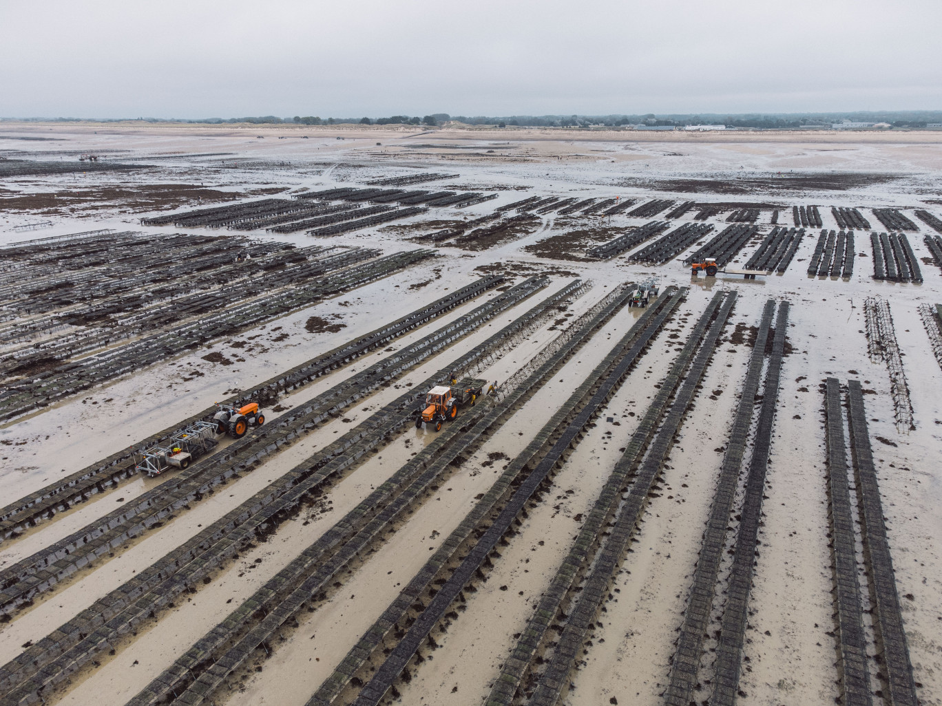 La filière représente plus de 10 000 emplois indirects sur l’ensemble du territoire normand. (© CRC)