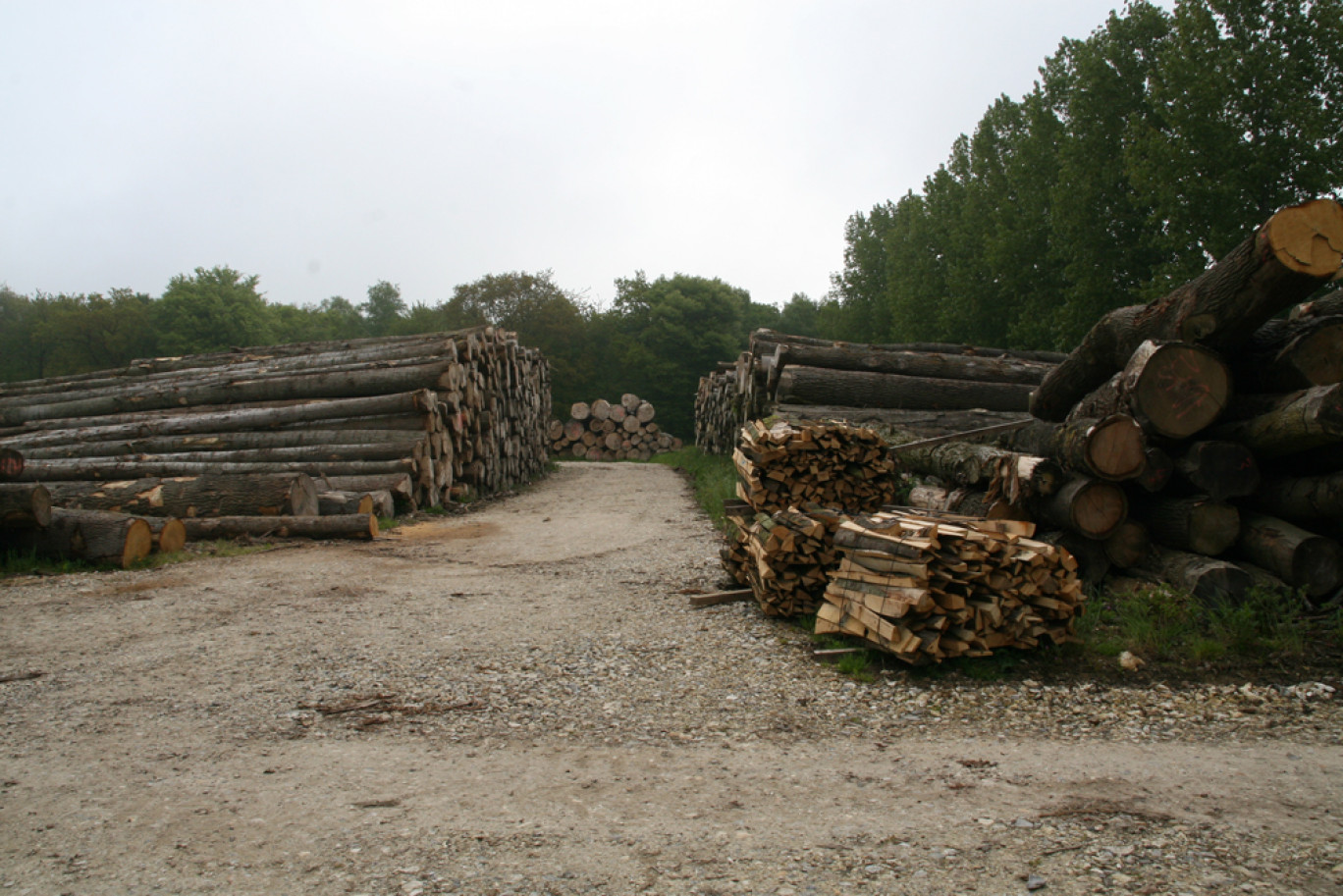 C'est à la Scierie du Cabalet à Preuseville que les élus de la Région Normandie ont présenté la nouvelle politique pour la filière forêt-bois.