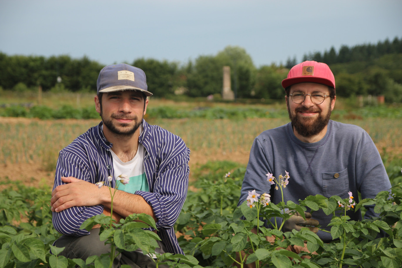 Arthur et Victor de Beaupuis disposent d’une surface totale de 4 ha. Mais un peu moins de 2 ha sont en production (dont 1 200 m² de serres). (© Aletheia Press / B.Delabre)