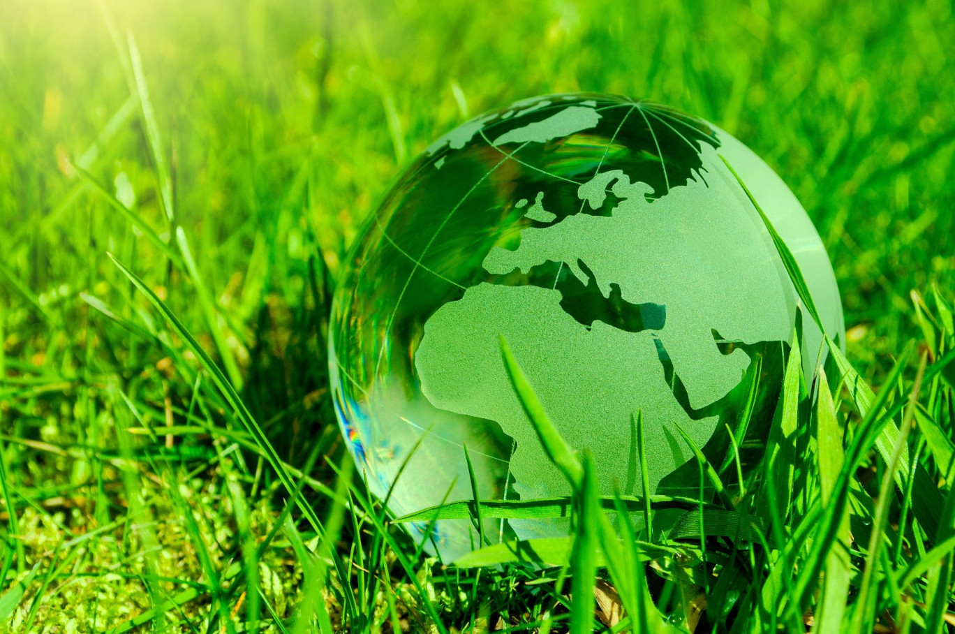 La Charte de l’environnement, 20 ans après : bilan et perspectives