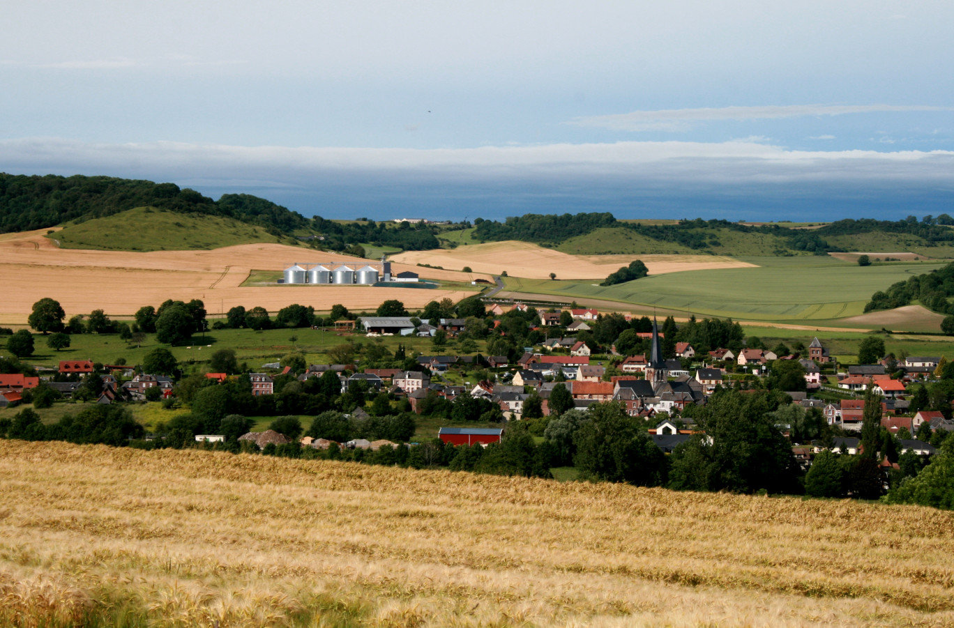 « Bonne surprise pour la production céréalière de Seine-maritime ». Crédit photo : Benoit Delabre pour Aletheia Press