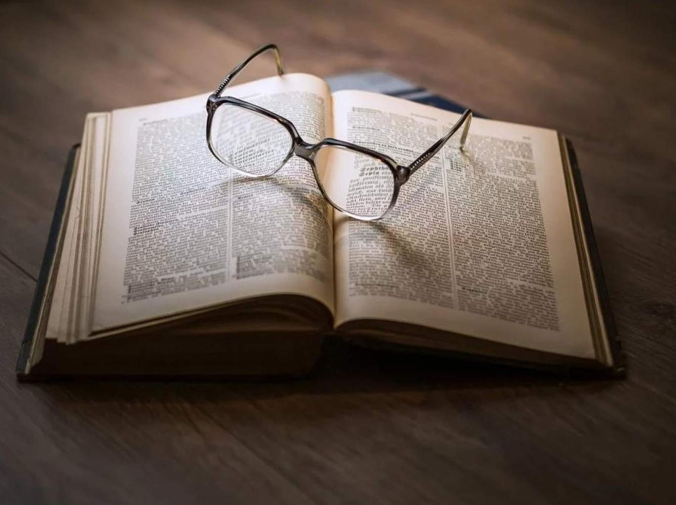 Les livres exposés portent sur diverses thématiques dont le voyage, l’histoire ou encore la bande dessinée.