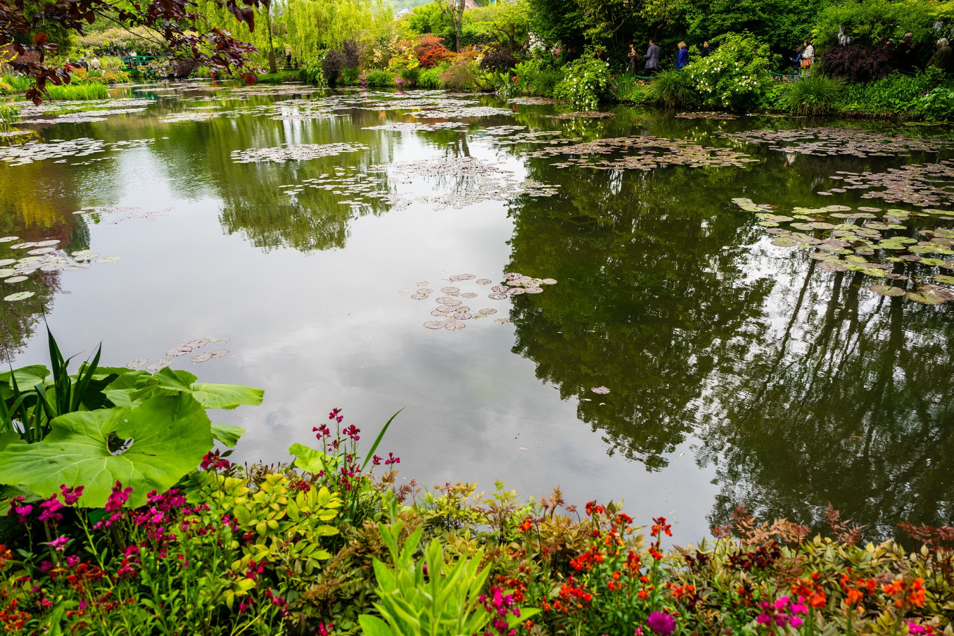 Les jardins de Claude Monet rouvriront leurs portes au public