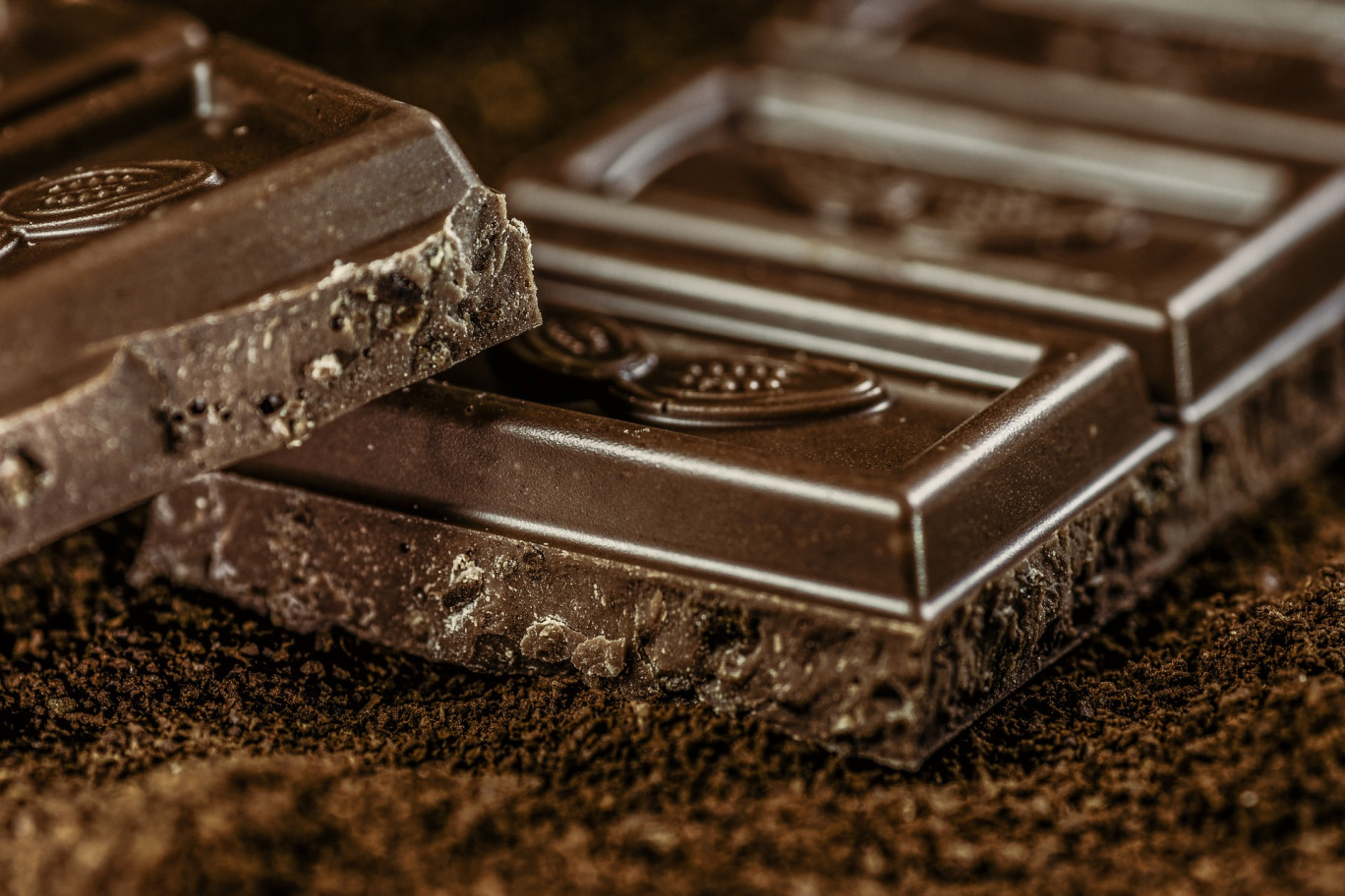Le Chocolartiste : Le régal des gourmands